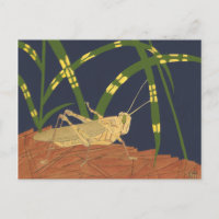Grasshopper in Green Grass on Blue Background