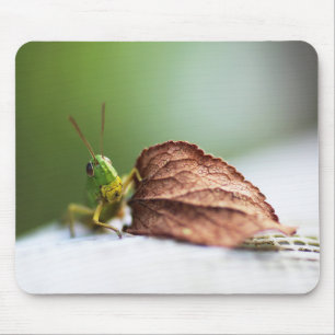 grasshopper, insect, leaf mouse pad