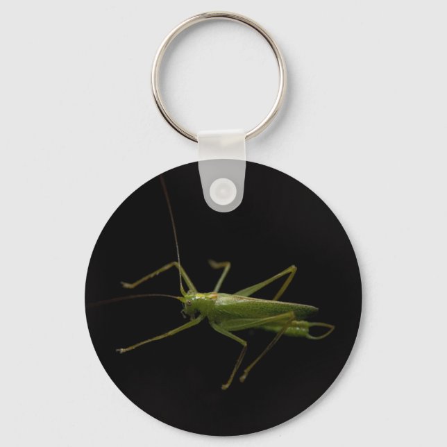 grasshopper key ring (Front)