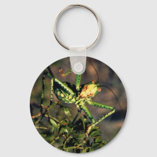 Grasshopper Key Ring