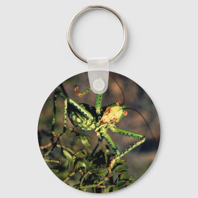 Grasshopper Key Ring (Front)