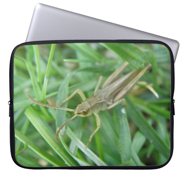 Grasshopper Laptop Bag (Front)