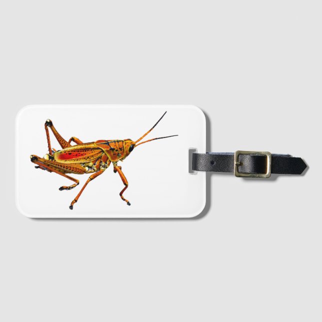 Grasshopper Luggage Tag (Front Horizontal)