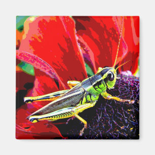 Grasshopper Magnet