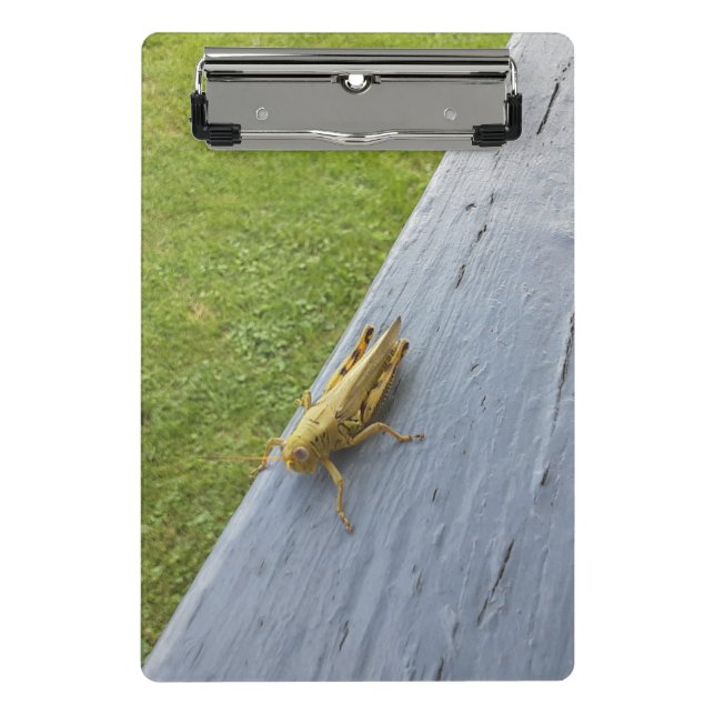 Grasshopper  mini clipboard (Front)