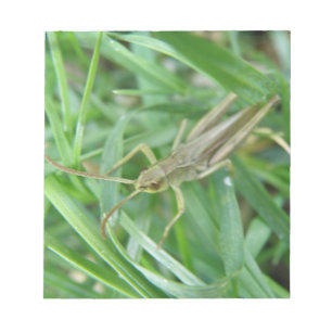 Grasshopper Notepad