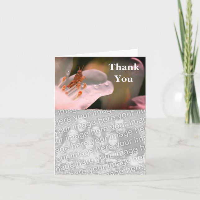 Grasshopper On Azalea Thank You Photo Card (Front)