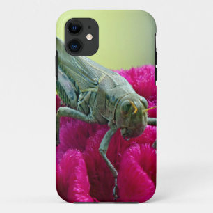 Grasshopper on Cockscomb iPhone 11 Case
