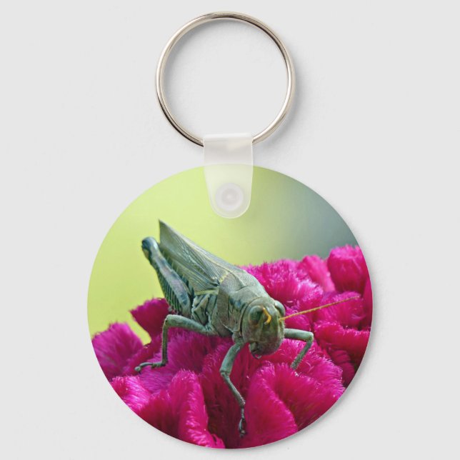 Grasshopper on Cockscomb Key Ring (Front)