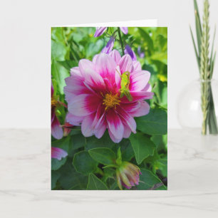 Grasshopper on Dahlia Flower Card