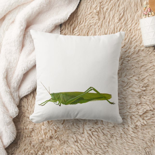Grasshopper or Hayhorse Retro Insect Animal Gift Cushion (Blanket)