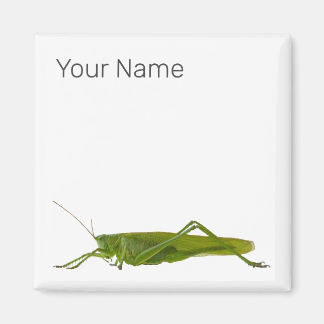 Grasshopper or Hayhorse Retro Insect Animal Gift Magnet (Front)