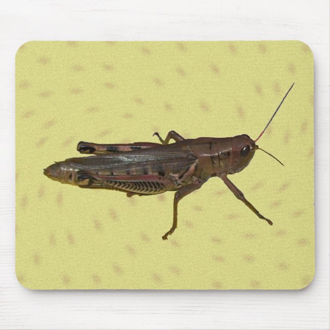 Grasshopper Pad Mouse Pad (Front)