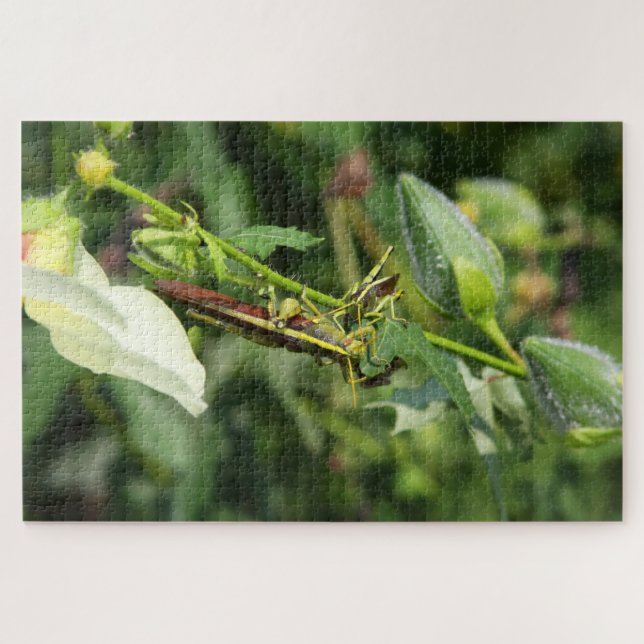 Grasshopper Pair 2 Jigsaw Puzzle (Horizontal)