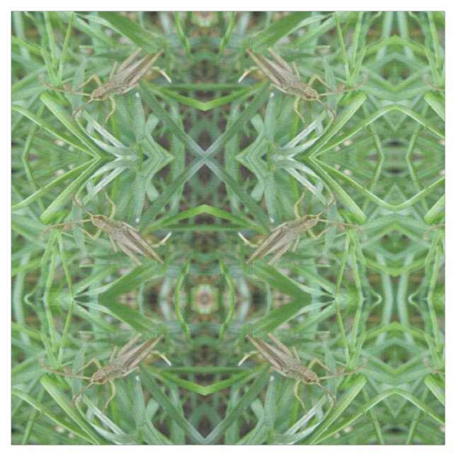 Grasshopper Patterned Craft Fabric (Swatch)