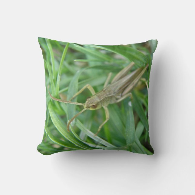 Grasshopper Pillow (Front)
