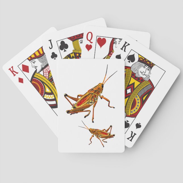 Grasshopper Playing Cards (Back)