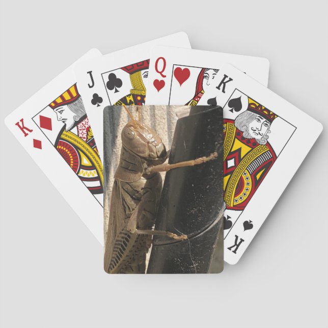 Grasshopper Playing Cards (Back)