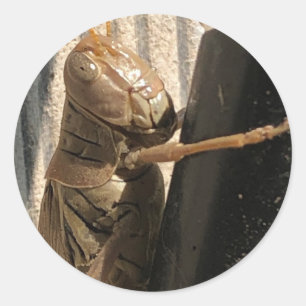 Grasshopper Stickers