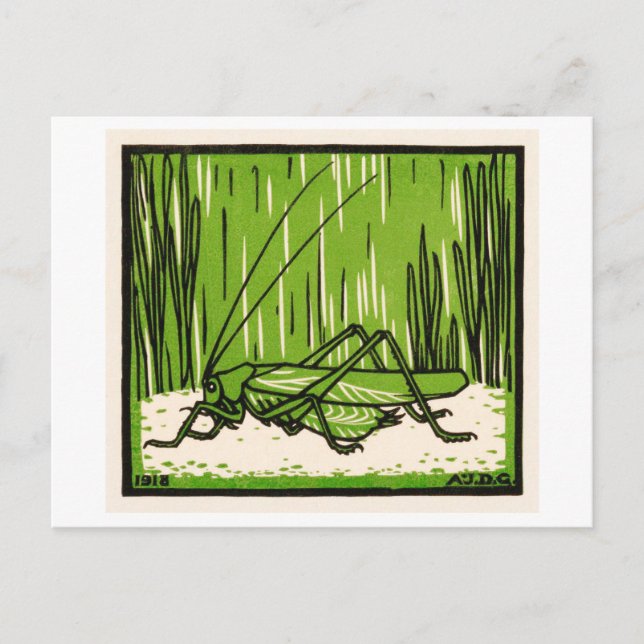 Grasshopper Vintage Illustration Postcard (Front)