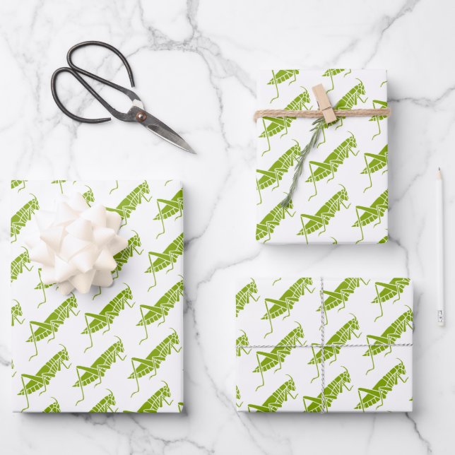 Grasshoppers Wrapping Paper Sheet (Front)