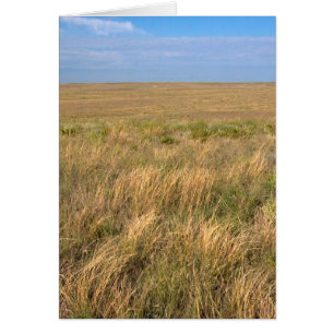 Grassland prairie east of Sidney, Nebraska.