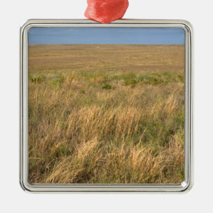 Grassland prairie east of Sidney, Nebraska. Metal Tree Decoration