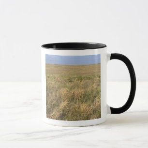 Grassland prairie east of Sidney, Nebraska. Mug