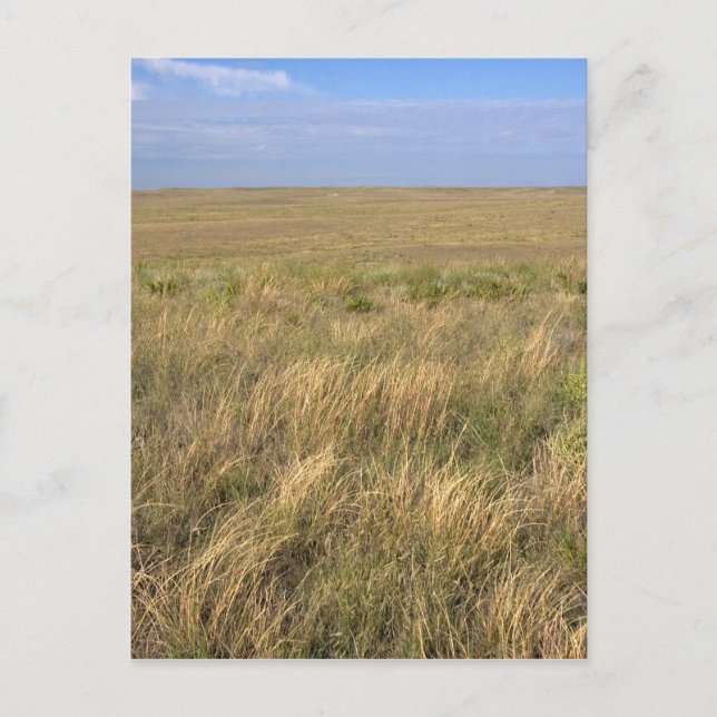 Grassland prairie east of Sidney, Nebraska. Postcard (Front)