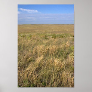 Grassland prairie east of Sidney, Nebraska. Poster