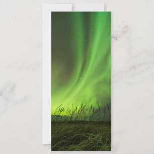 Grasslands Aurora Card