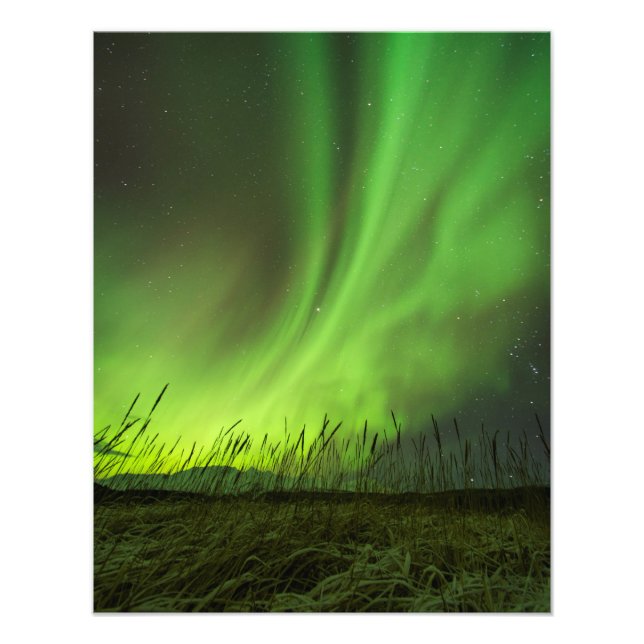 Grasslands Aurora Photo Print (Front)