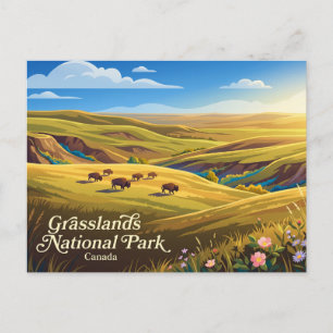 Grasslands National Park Canada Postcard