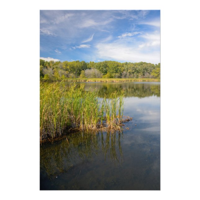 Grassy Lake Photo Print (Front)