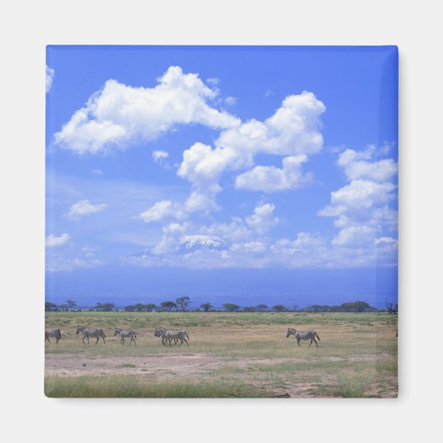 Grassy Plain Magnet (Front)