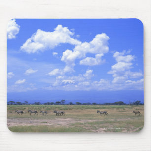 Grassy Plain Mouse Pad
