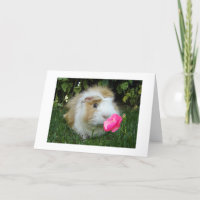 GRATEFUL GERBIL HAPPY IT'S "YOUR" BIRTHDAY NOT HIS