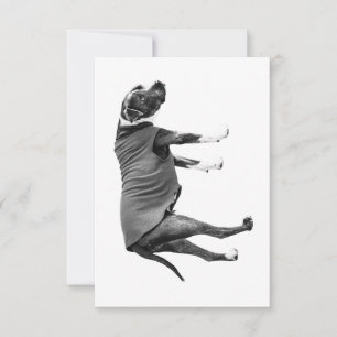 Grateful Vest, Quiet Appreciation Thank You Card