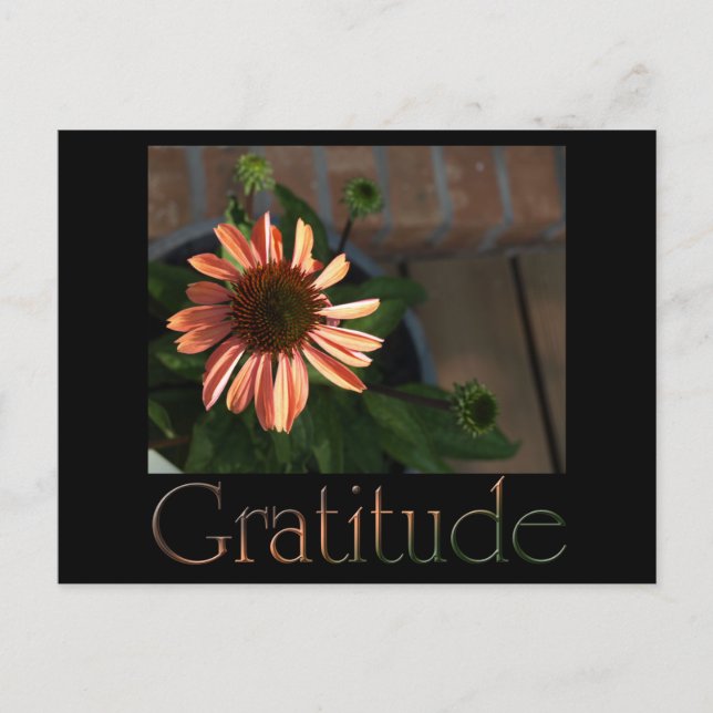 Gratitude 3 postcard (Front)