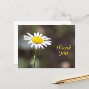 Gratitude Blooms: A Wild Daisy Thank You Postcard
