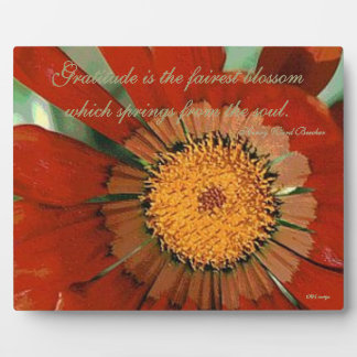 Gratitude Gazania Plaque