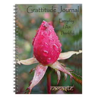 Gratitude Journal: Image By Richard Copeland Notebook