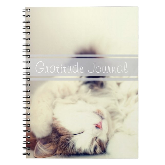 Gratitude Journal Sleeping Cat Customisable Text (Front)