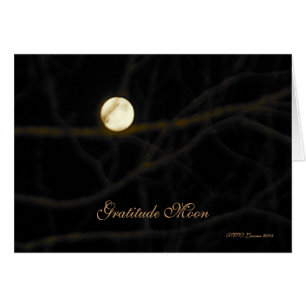 Gratitude Moon Card