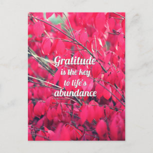 Gratitude Postcard