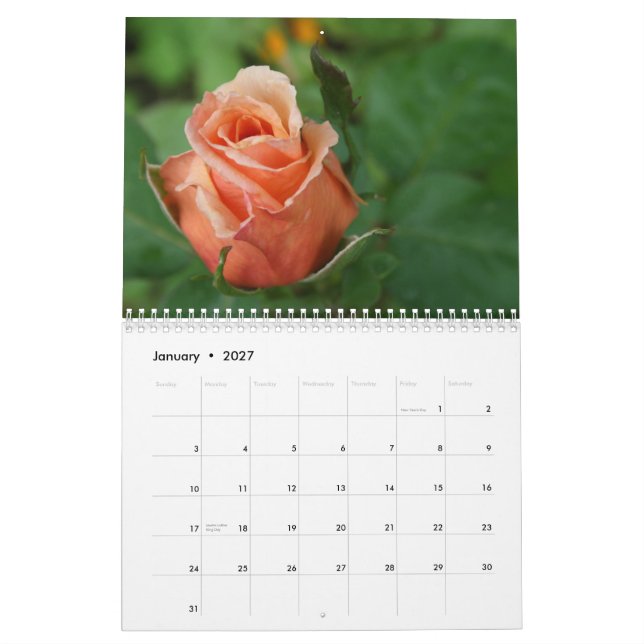 Gratitude Rose Lovers Calendar (Jan 2027)