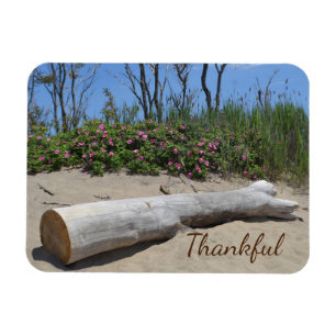 Gratitude Seashore Magnet
