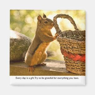 Gratitude Squirrel Magnet