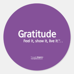 Gratitude Thought Shapers™ Stickers