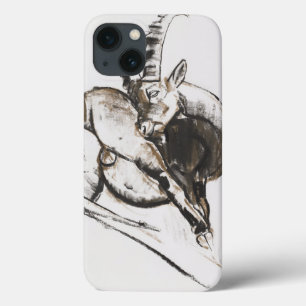 Grattarsi iPhone 13 Case
